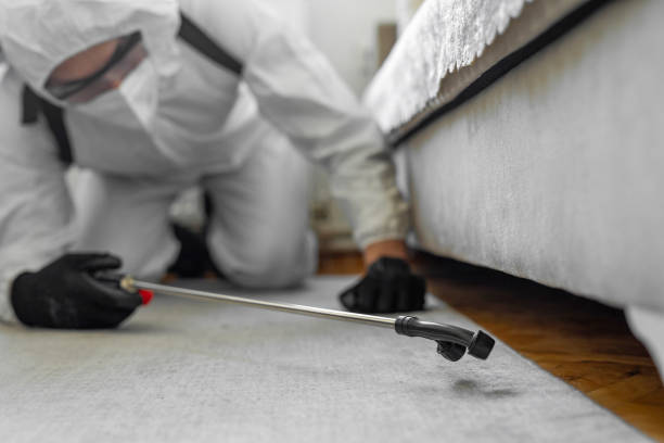 Professional Bed Bug Control technician working in Carter County County, MT